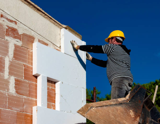 Best Cellulose Insulation in Rayville, LA