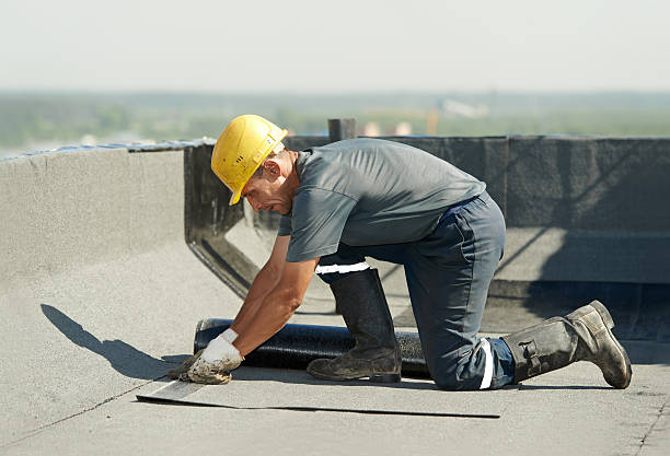 Professional Insulation Contractor in Rayville, LA