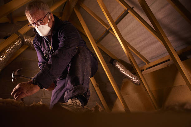 Best Insulation Maintenance and Repair in Rayville, LA