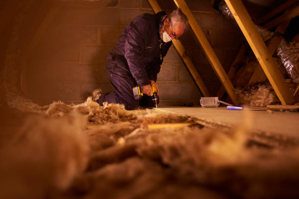 Best Spray Foam Insulation in Rayville, LA